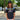 County of Milan kids maglia calcio piume tricolor TH003