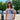 Icon kids t-shirt ghiaccio logo fascia 1070